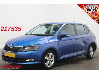 Avarii autoturisme Skoda Fabia 1.0 TSI Clever Cruise Navi PDC Bluetooth Airco 2018/8