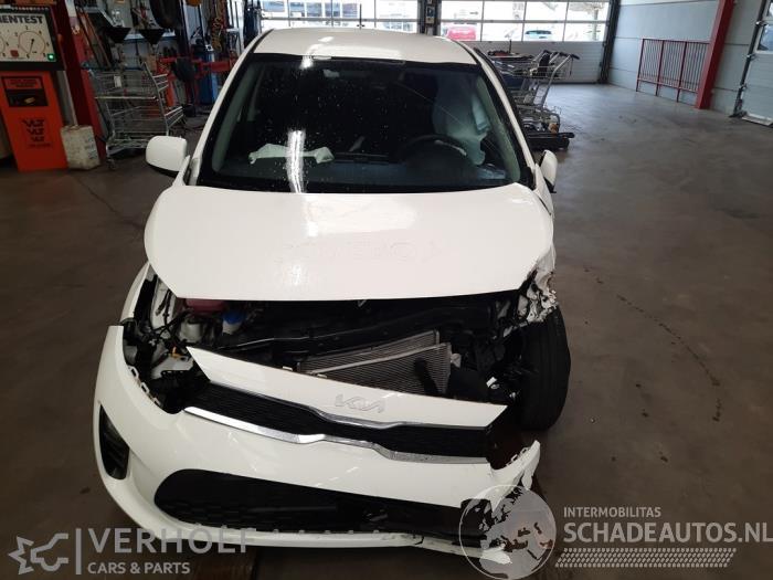 Kia Picanto Picanto (JA), Hatchback, 2017 1.0 DPi 12V