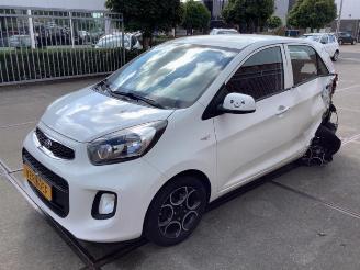 Coche siniestrado Kia Picanto Picanto (TA), Hatchback, 2011 / 2017 1.0 12V 2015/10