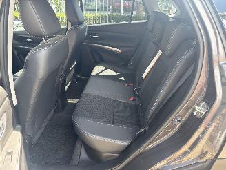 Suzuki S-Cross  picture 6