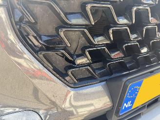 Suzuki S-Cross  picture 12
