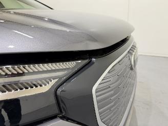 Audi Q4 e-tron 40 Edition Pano picture 13