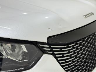 Peugeot 2008 1.2 Blue Lease Allure picture 48