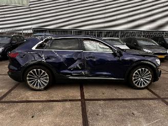 Audi E-tron 55 Quattro S edition 95kWh picture 30