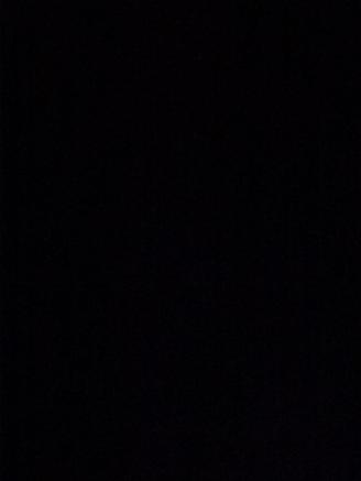 Ford Ranger Super Cab 3.2 TDCi Wildtrack Aut6 picture 43