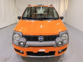 Fiat Panda Cross 1.3D 4x4 68.000KM picture 2