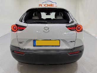 Mazda MX-30 e-Skyactiv EV 145 First Edition aut picture 5