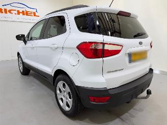 Ford EcoSport 1.0 EcoBoost Trend Ultimate picture 9