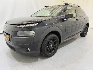 Citroën C4 cactus 1.2 PureTech 82 Business Plus picture 24