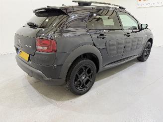 Citroën C4 cactus 1.2 PureTech 82 Business Plus picture 6