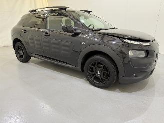 Citroën C4 cactus 1.2 PureTech 82 Business Plus picture 39