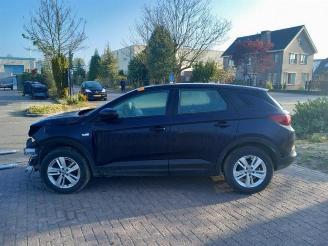 Opel Grandland Grandland (X), SUV, 2017 1.2 Turbo 12V picture 4