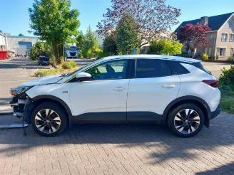 Opel Grandland Grandland (X), SUV, 2017 1.2 Turbo 12V picture 4