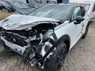 krockskadad bil auto Zeekr X Long Range rwd 200 KW  Automaat   ( 4924 Km ) 2024/12