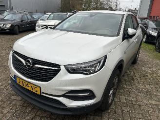 Avarii autoturisme Opel Grandland X 1.2 Turbo Business Edition  ( Koplings probleem ) 2020/10