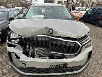 Skoda Kodiaq 1.5 TSI  PHEV  Business Edition  Automaat picture 2