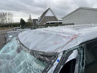 Volkswagen ID.Buzz Cargo Anniversary Edition   ( 9 Km !!!!! )  Transport schade ,nw prijs 48000,00 EX BTW picture 10