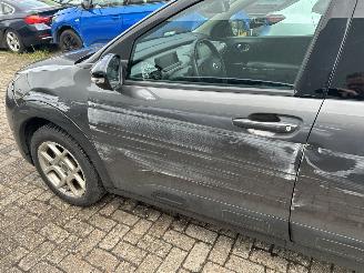 Citroën C4 cactus 1.2 PureTech Origins picture 9