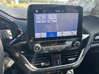 Ford Fiesta 1.0 Hybrid EcoBoost Titanium picture 13