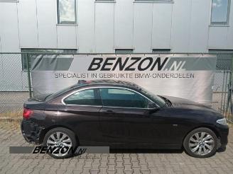 BMW 2-serie 2 serie (F22), Coupe, 2013 / 2021 218d 2.0 16V picture 3