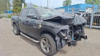 Autoverwertung Dodge Ram Ram 1500 (DS/DJ/D2), Pick-up, 2008 / 2010 5.7 V8 Hemi 1500 4x4 2010