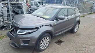 Vrakbiler auto Land Rover Range Rover Range Rover Evoque (LVJ/LVS), SUV, 2011 / 2019 2.0 D 150 16V 5-drs. 2016/9
