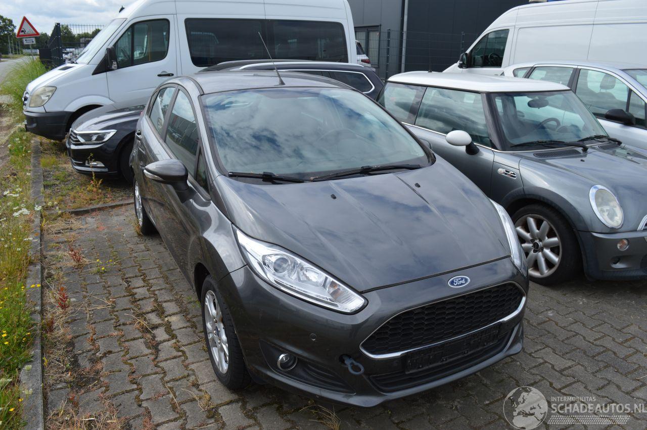 Ford Fiesta Ford Fiesta Titanium Navi Klima Pdc