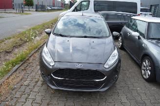 Ford Fiesta Ford Fiesta Titanium Navi Klima Pdc picture 5