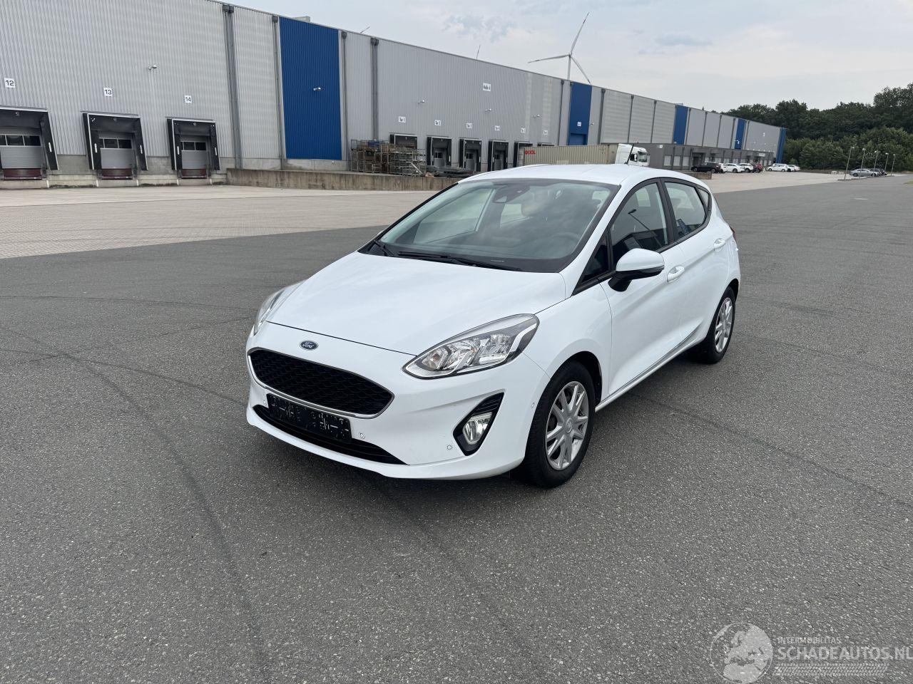 Ford Fiesta 1.0 Benzin Klima 5 Turer