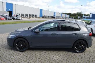 Volkswagen Golf Volkswagen Golf VIII Life 2,0 Tdi Panorama IQlight Acc Pdc picture 3