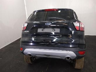 Ford Kuga  picture 13