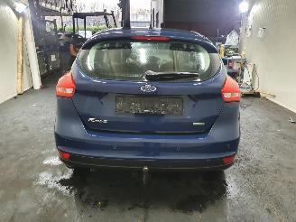 Ford Focus  picture 31