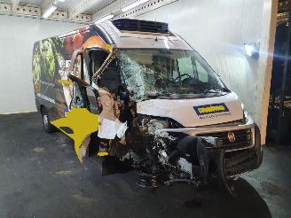 Purkuautot passenger cars Fiat Ducato  2020/1