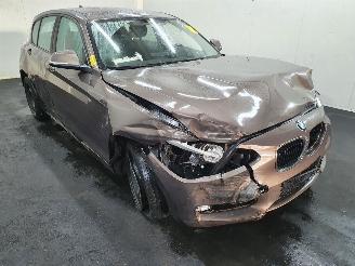 Dezmembrări autoturisme BMW 1-serie  2012/1