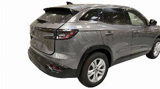 Renault Austral TCE 130 E-tech picture 2