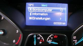 Ford Grand C-Max  picture 19