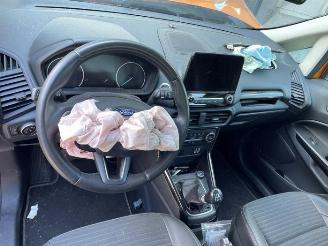 Ford EcoSport EcoSport (JK8), SUV, 2013 1.0 EcoBoost 12V 125 picture 7