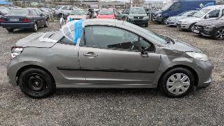 Peugeot 207 KTN picture 4
