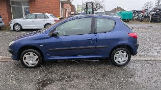 Peugeot 206 1.4 picture 8