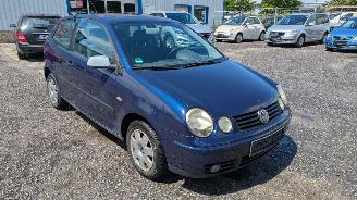 Volkswagen Polo 9N picture 3