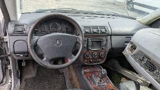 Mercedes ML 163 picture 13