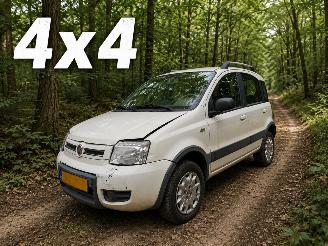 Voiture accidenté Fiat Panda 1.2 Climbing 4x4 2010/4