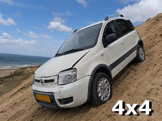 uszkodzony samochody osobowe Fiat Panda 1.2 Climbing 4x4 2010/4