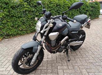Yamaha MT-03  picture 6