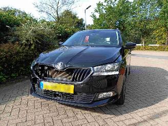 Skoda Fabia Combi 1.0 TSI Business Edition picture 18