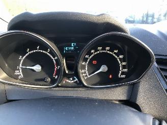 Ford Fiesta 1.0i ecoboost 74kW Navi picture 7