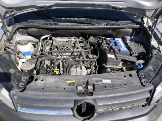 Volkswagen Caddy 2.0tdi 75kW E6 DSG MODIFIED PARTITION WALL picture 12