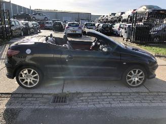 Unfallwagen Peugeot 206 Cabrio 2.0i CLIMA 131000 km 2002/5