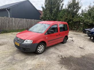 Avarii autoturisme Volkswagen Leone  2010/5