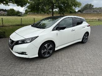 Auto incidentate Nissan Leaf Tekna 2018/5